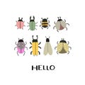Hello. cartoon insects, hand drawing lettering. Colorful flat vector illustration for children.